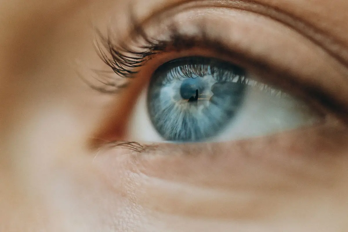 difference between floaters and a retinal tear